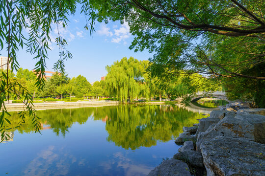 高校湖景