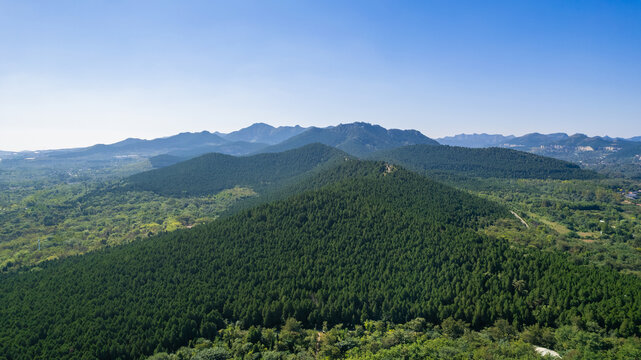 青山