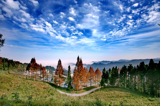 偏头山风光