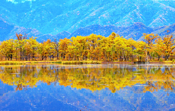 大九湖秋景
