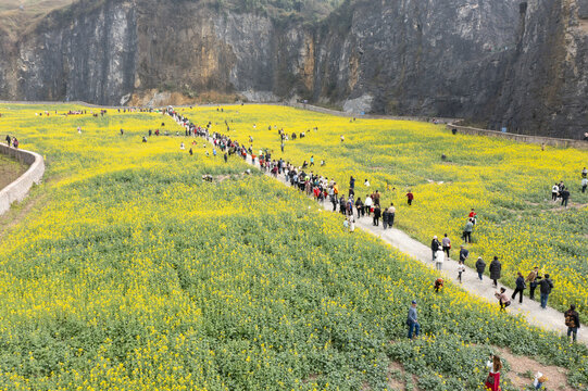 重庆铜锣山矿山公园油菜花田海