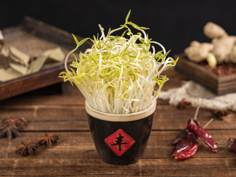 绿豆芽