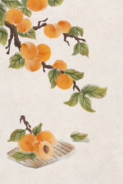 杏子李子水墨画国画