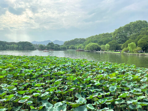 杭州西湖景色