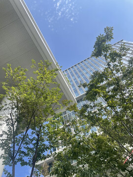 杭州现代建筑商场大厦