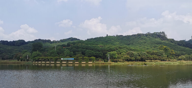 公园山湖美景
