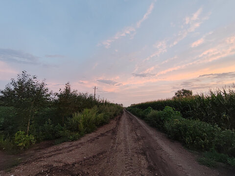 黑龙江农村土路