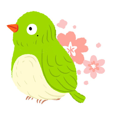 可爱的绿色小鸟手绘插画