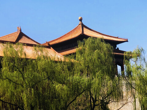 北京故宫古建筑角楼柳树