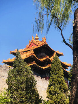 北京故宫古建筑角楼古树