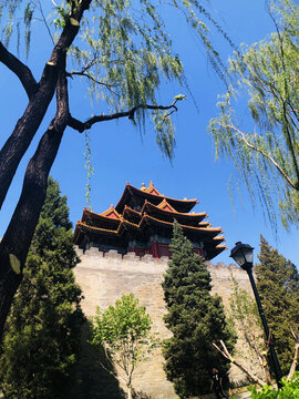 北京故宫古建筑角楼古树