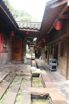 庭院