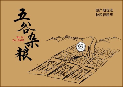 五谷杂粮包装