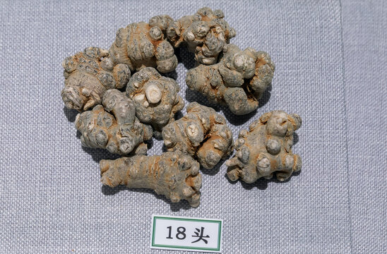 三七