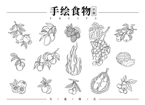 手绘水果线稿