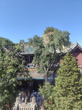 小西天