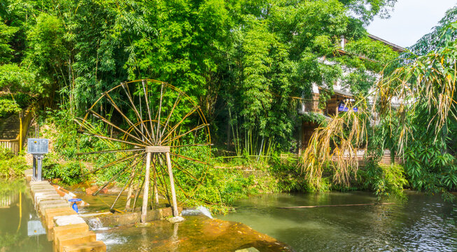 绿竹公园风景