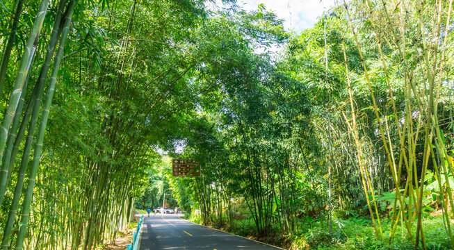 绿竹公园步道