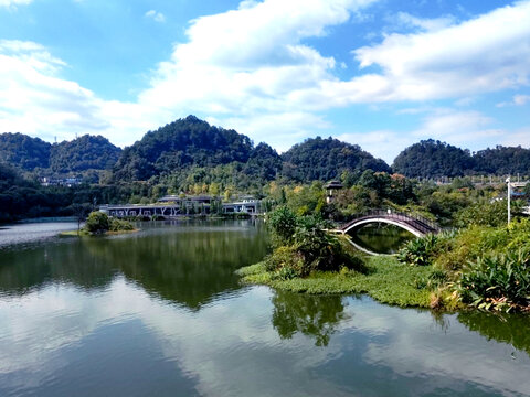 湿地公园美景