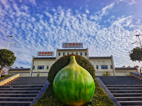 四川威远四方村无花果中心