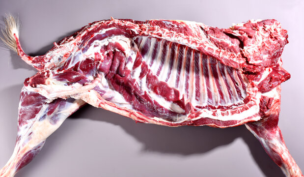 半只鲜羊肉