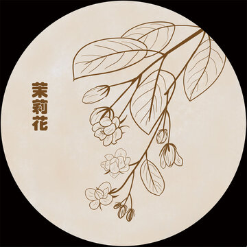 手绘茉莉花线稿