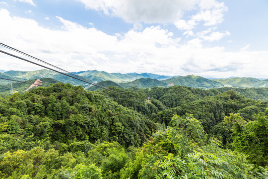 青山