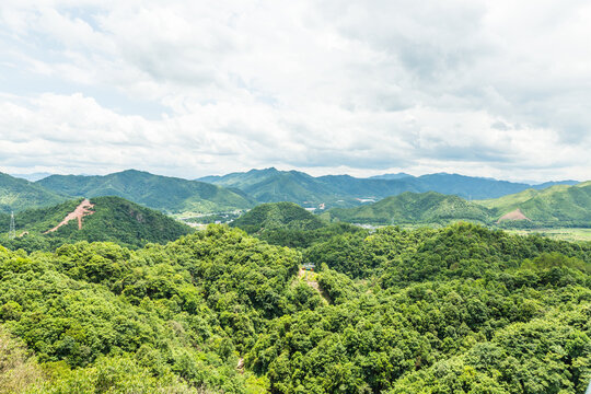 青山
