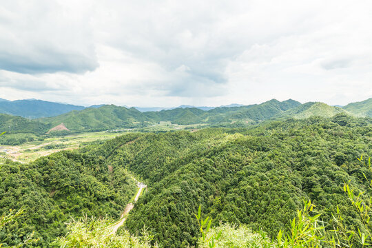 青山