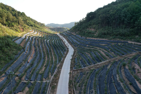 绿色山林秋景