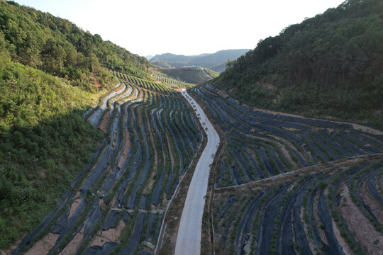 绿色山林秋景