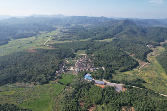 村落大山