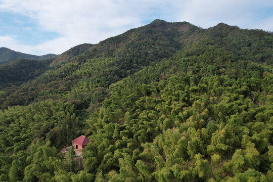 竹林大山寺庙
