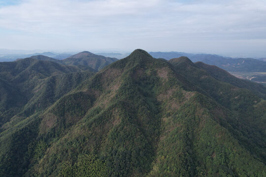 绿色山林秋景