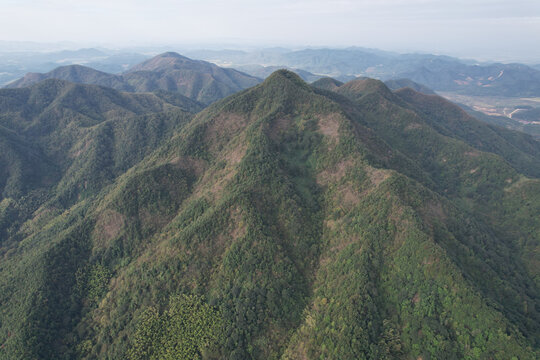绿色山林秋景