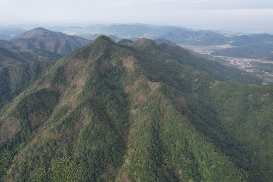 绿色山林秋景
