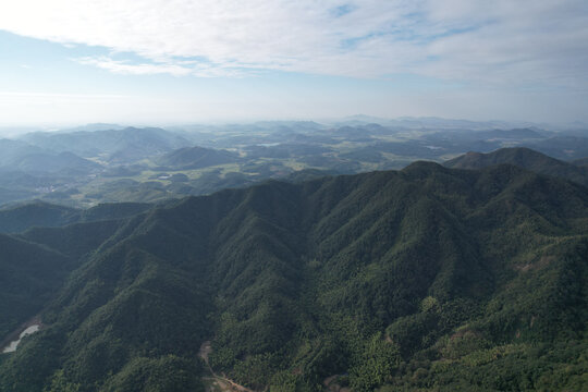 绿色山林秋景森林