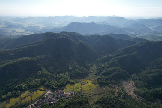 绿色山林秋景森林