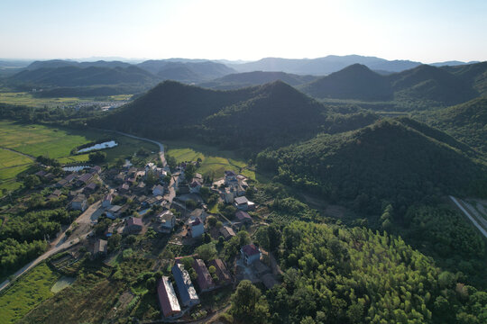 色山林秋景森林