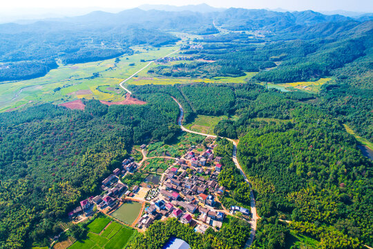 森林护林农村
