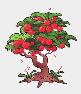 荔枝树