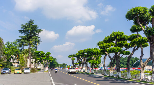 五粮液景区风景