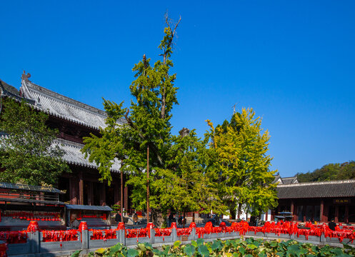 当阳玉泉寺