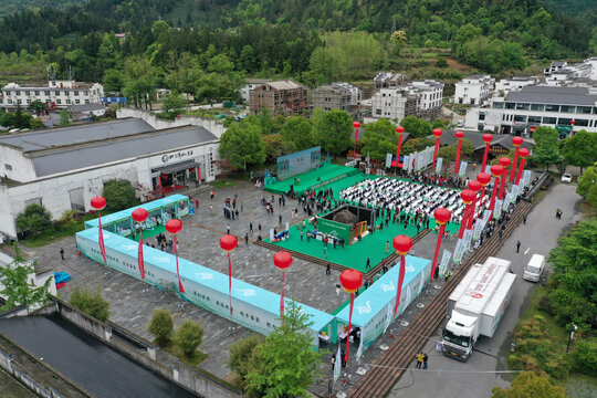 茶叶节