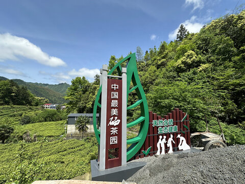 茶园导识牌