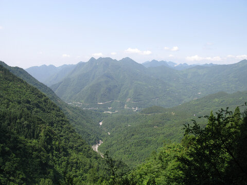 青山