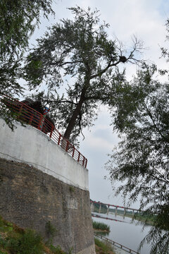 运河古堤