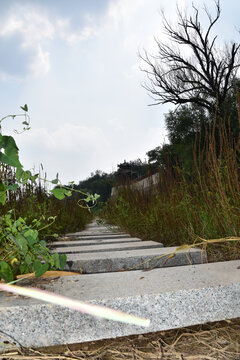 石板路
