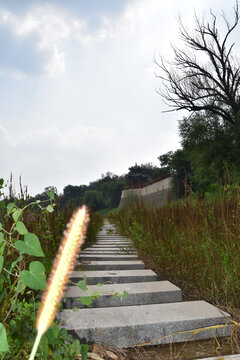 公园小路