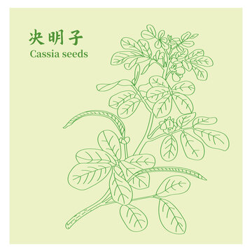 决明子